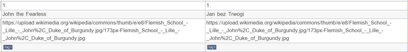 Wordfast editor view showing segments with extracted URLs